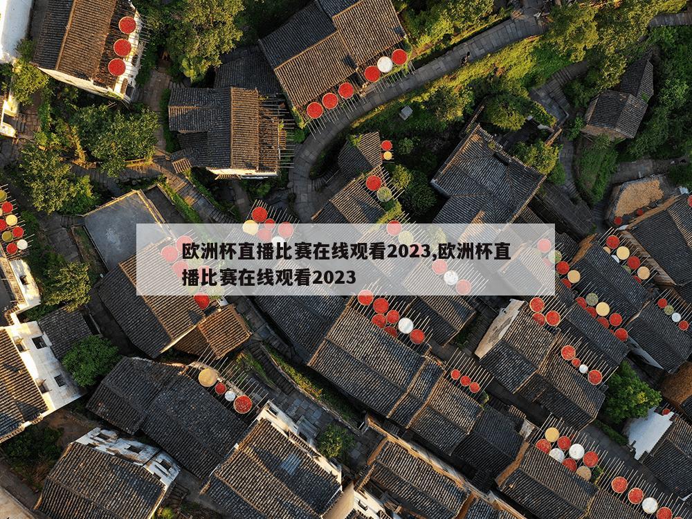 欧洲杯直播比赛在线观看2023,欧洲杯直播比赛在线观看2023