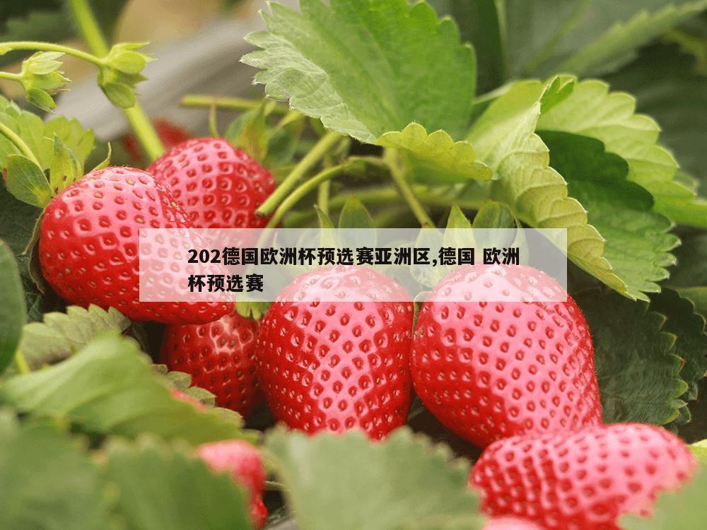 202德国欧洲杯预选赛亚洲区,德国 欧洲杯预选赛