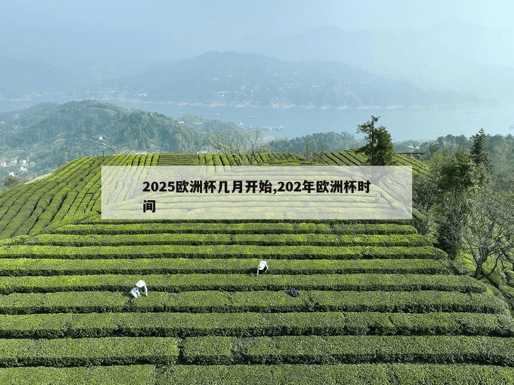 2025欧洲杯几月开始,202年欧洲杯时间