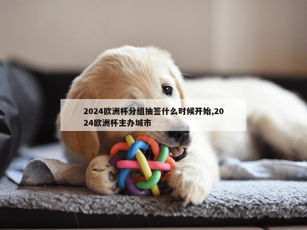 2024欧洲杯分组抽签什么时候开始,2024欧洲杯主办城市