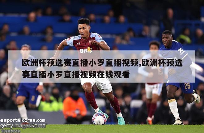 欧洲杯预选赛直播小罗直播视频,欧洲杯预选赛直播小罗直播视频在线观看