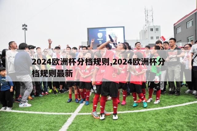 2024欧洲杯分档规则,2024欧洲杯分档规则最新