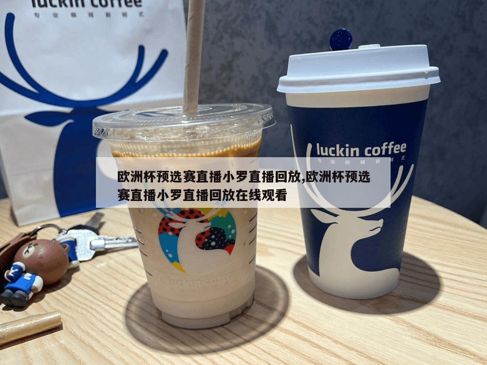 欧洲杯预选赛直播小罗直播回放,欧洲杯预选赛直播小罗直播回放在线观看