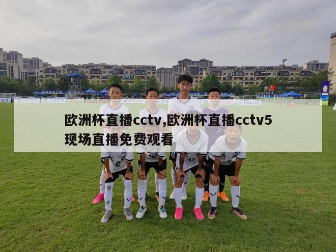 欧洲杯直播cctv,欧洲杯直播cctv5现场直播免费观看